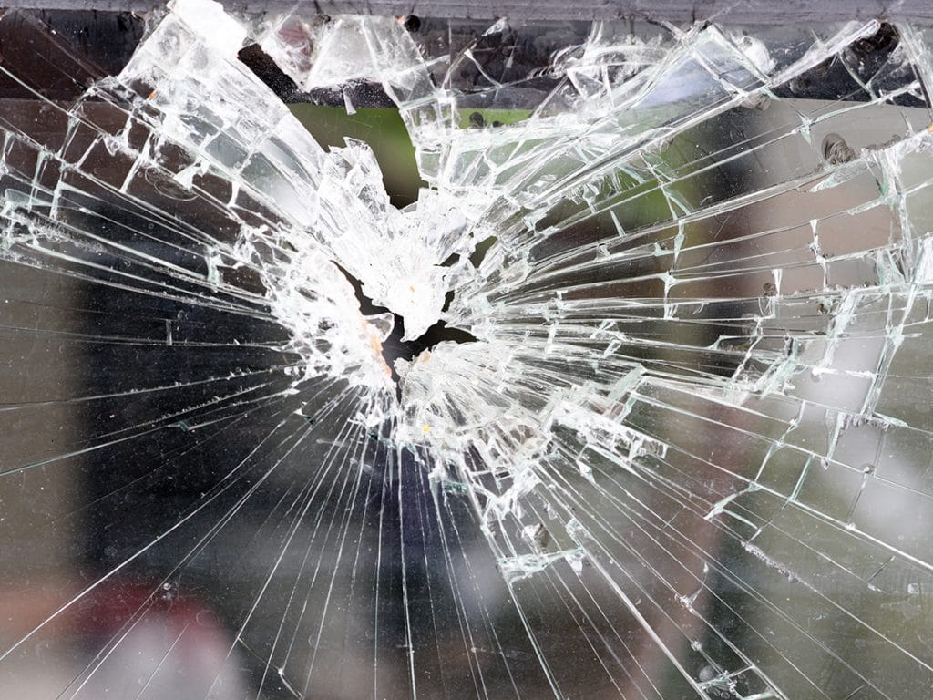 Gewächshausversicherung im Schadensfall AdobeStock 213713419 1024x768 1 AdobeStock 213713419 1024x768 1